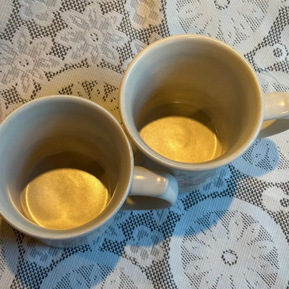 Vintage Pfaltzgraff USA Tea Rose Ceramic Set of 2 Mugs USA 80s Cottage Chic